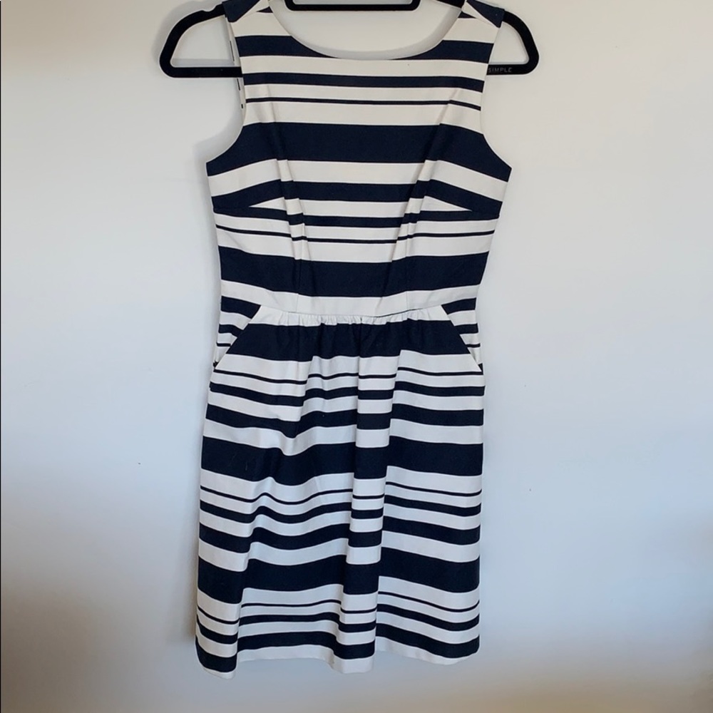 The Limited — Blue and White Striped Dress